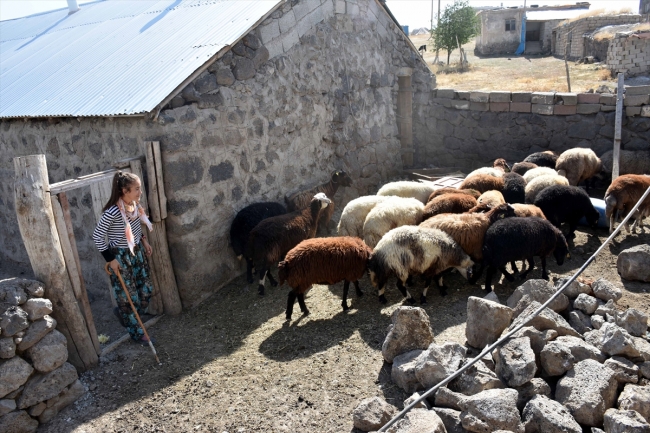 Altın madalya için Süphan Dağı eteklerinde antrenman yapıyor